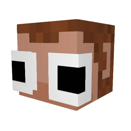 Mimmo_Elytra Minecraft avatar head, 3D render
