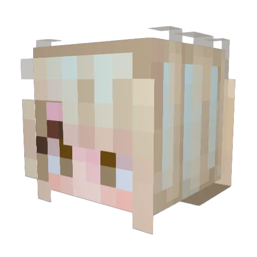 Mimu0w0 Minecraft avatar head, 3D render