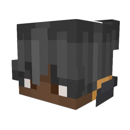 Min4Win Minecraft avatar head, 3D render
