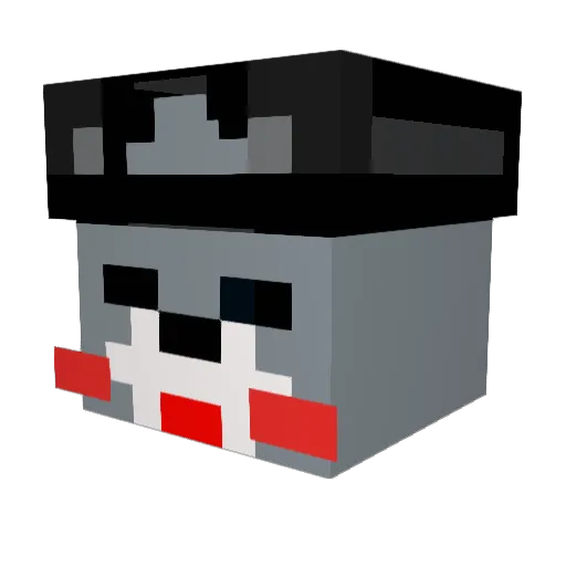 MinChan1234 Minecraft avatar head, 3D render