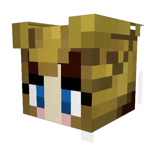 MinDawgs Minecraft avatar head, 3D render