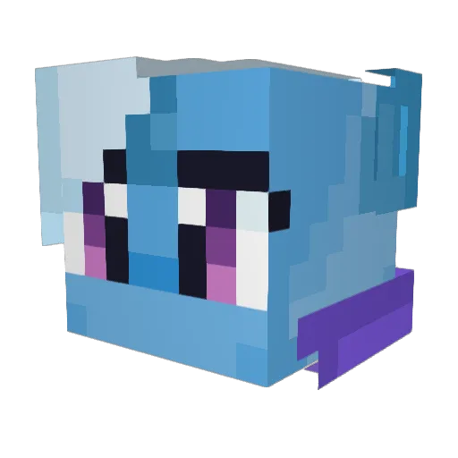 Minardi_Enjoyer Minecraft avatar head, 3D render