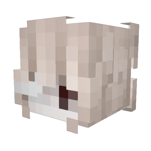 Minato_Rin Minecraft avatar head, 3D render