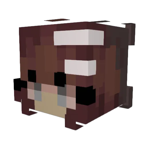 Minccino05 Minecraft avatar head, 3D render