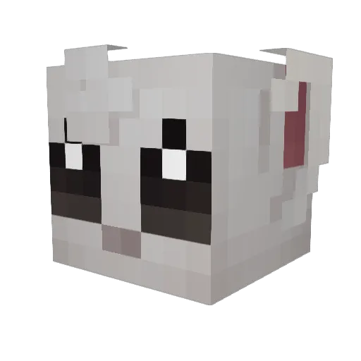 Minccino Minecraft avatar head, 3D render