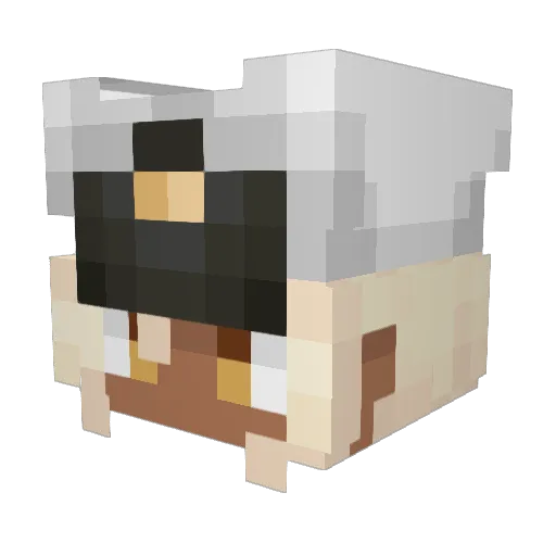 MincedHoles Minecraft avatar head, 3D render