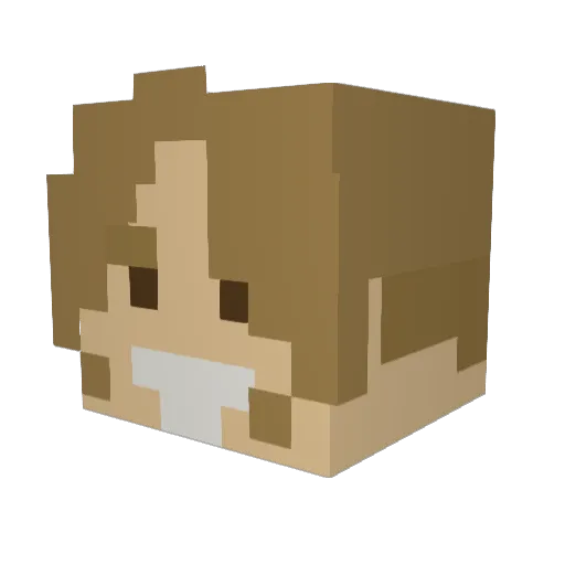 MincedOnions287 Minecraft avatar head, 3D render