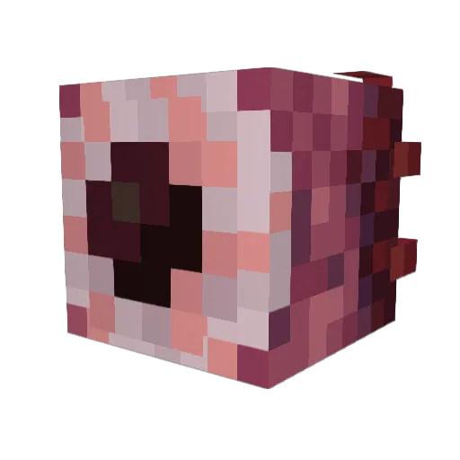Mincedcrufter Minecraft avatar head, 3D render