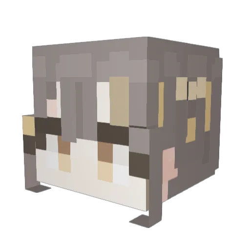 Mincho_Joa Minecraft avatar head, 3D render