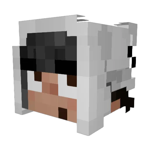 MindManL0L954 Minecraft avatar head, 3D render