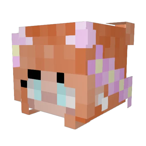 MindOfMaartje Minecraft avatar head, 3D render