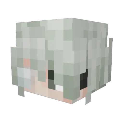 Mind_Radio Minecraft avatar head, 3D render