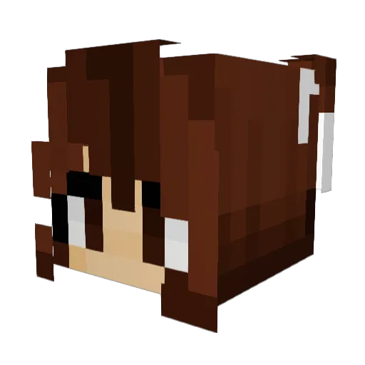 Mindianer Minecraft avatar head, 3D render