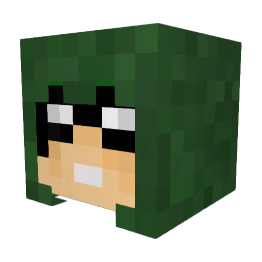 Mindlessfl22 Minecraft avatar head, 3D render
