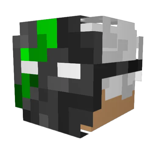 Mine28_idk Minecraft avatar head, 3D render