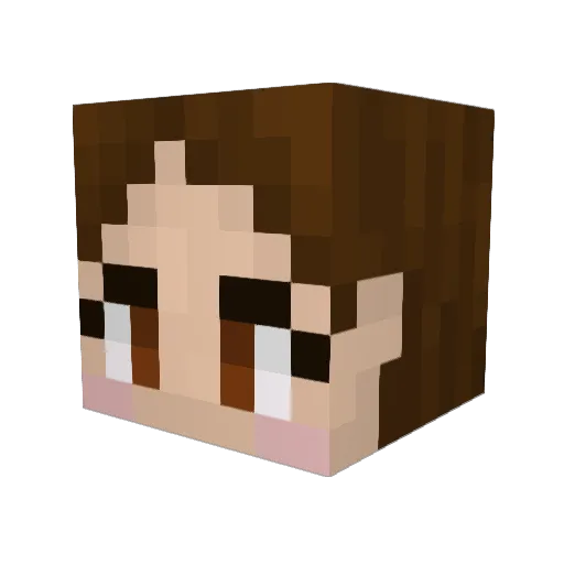 MineAndCraft3 Minecraft avatar head, 3D render