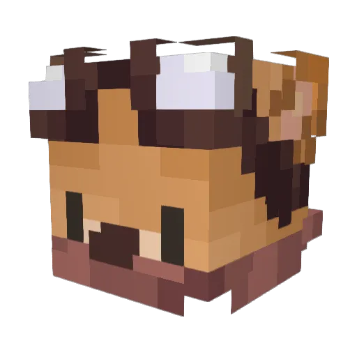 MineCarter Minecraft avatar head, 3D render
