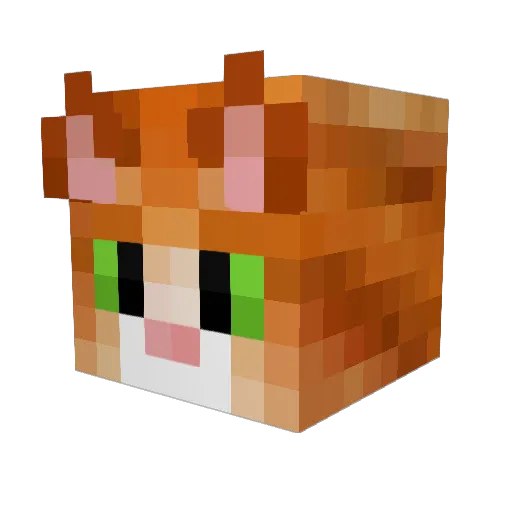 MineCats79 Minecraft avatar head, 3D render