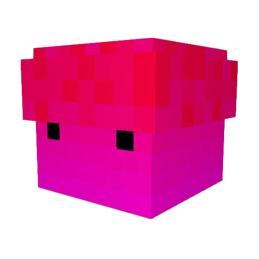 MineCoder135 Minecraft avatar head, 3D render
