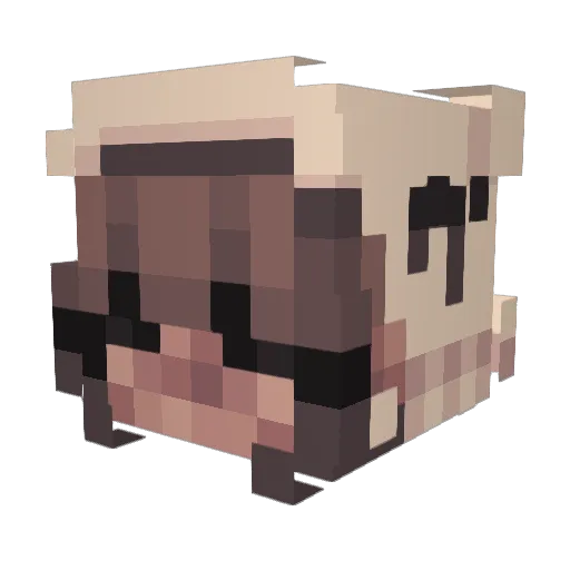 MineDeinaraft Minecraft avatar head, 3D render