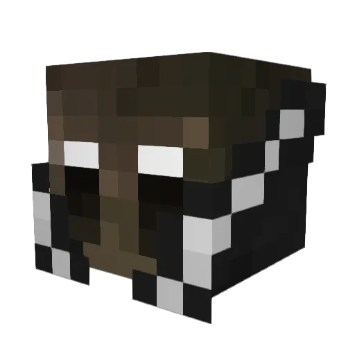 MineErik_2015 Minecraft avatar head, 3D render