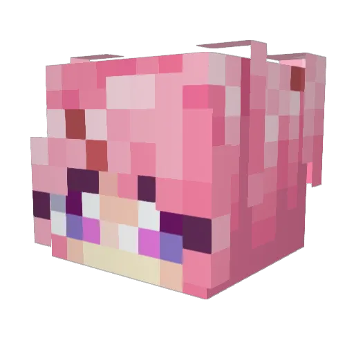 MineFraser1324 Minecraft avatar head, 3D render