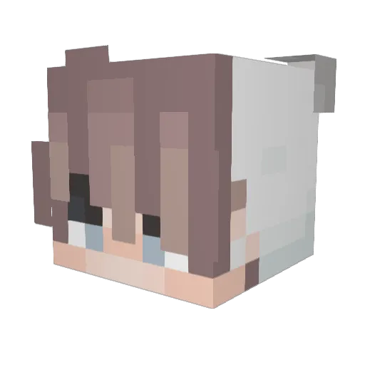 MineFreakEG Minecraft avatar head, 3D render