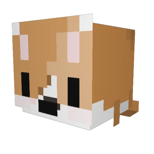 MineGamer0618 Minecraft avatar head, 3D render
