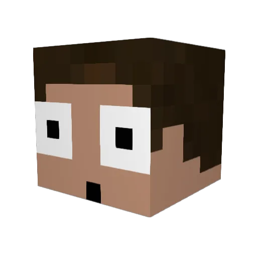 MineGamer429 Minecraft avatar head, 3D render