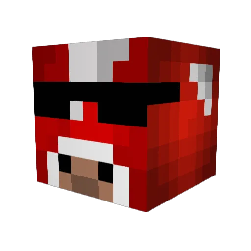 MineGamer8520 Minecraft avatar head, 3D render