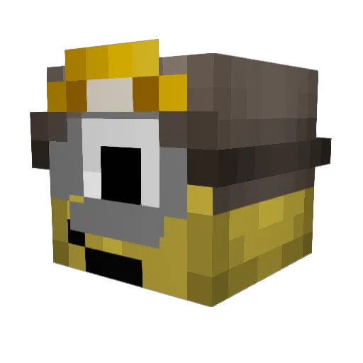 MineMan173 Minecraft avatar head, 3D render