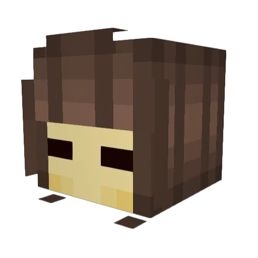 MineMan2856 Minecraft avatar head, 3D render