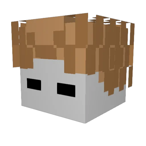 MineMaster2009 Minecraft avatar head, 3D render