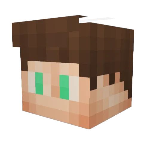MineNevada Minecraft avatar head, 3D render
