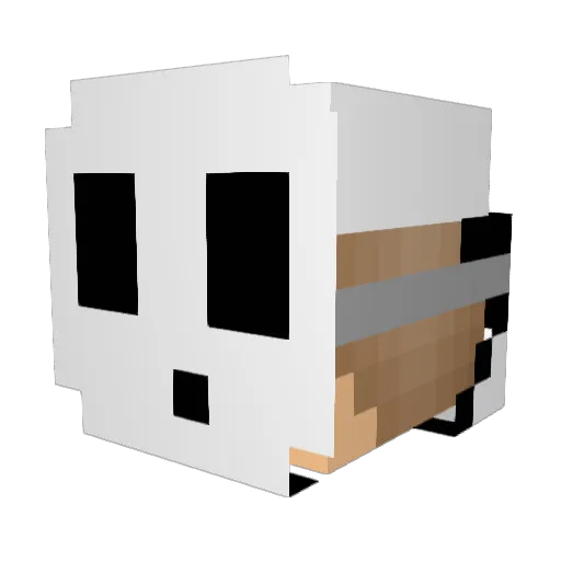 MineStyler1234 Minecraft avatar head, 3D render