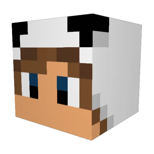MineTim2018 Minecraft avatar head, 3D render
