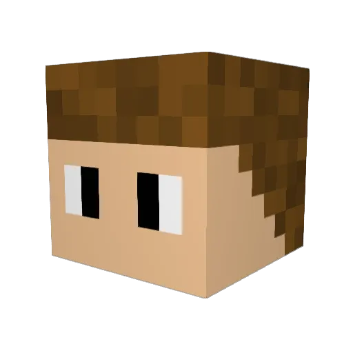 Mine_Craft_Boy Minecraft avatar head, 3D render