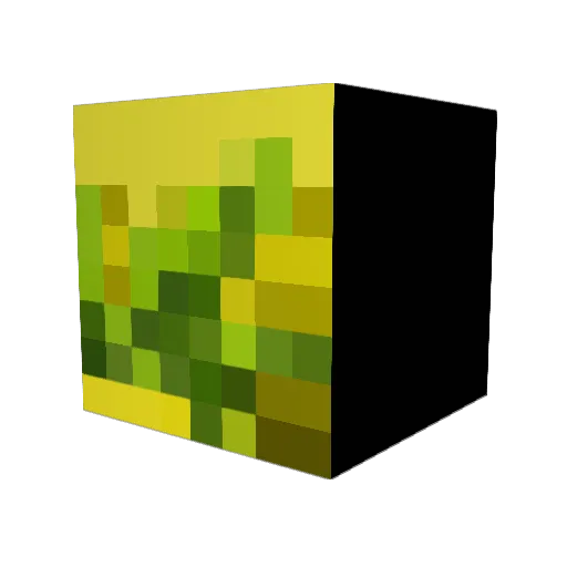 Mine_Skin Minecraft avatar head, 3D render