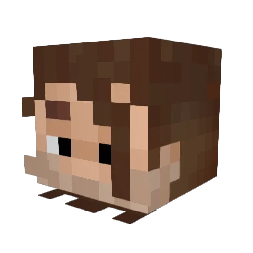 Mineblocker_08 Minecraft avatar head, 3D render