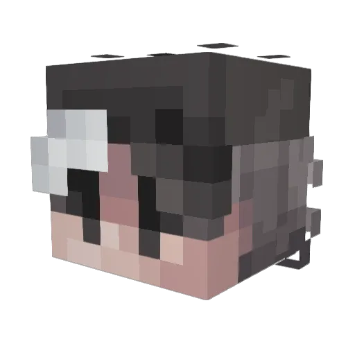 Mineboi2013 Minecraft avatar head, 3D render