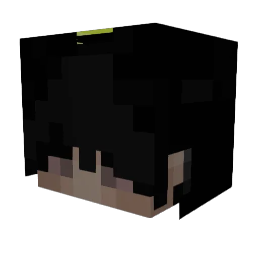 Minebot667 Minecraft avatar head, 3D render