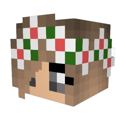 Minebuster20112 Minecraft avatar head, 3D render