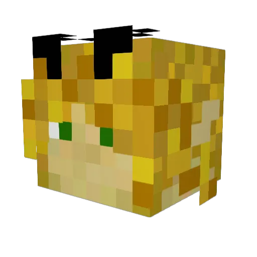 MinecartMark Minecraft avatar head, 3D render