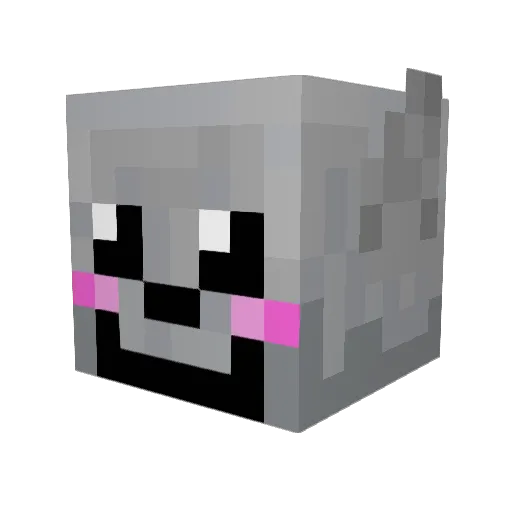 Minecat99 Minecraft avatar head, 3D render