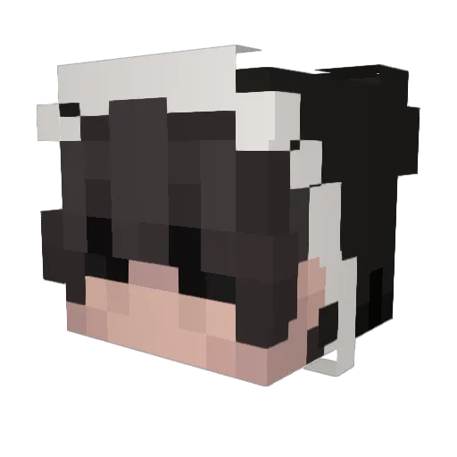 Minecraft4Chris Minecraft avatar head, 3D render