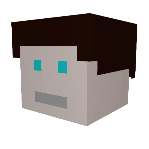 Minecraft98WV Minecraft avatar head, 3D render