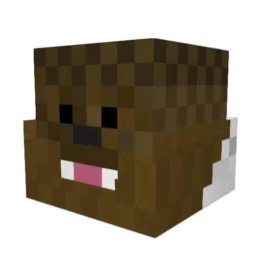 MinecraftBacca Minecraft avatar head, 3D render