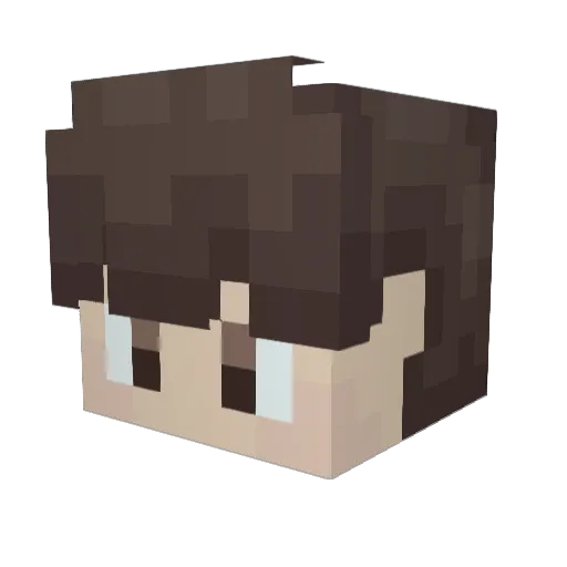 MinecraftBrosL Minecraft avatar head, 3D render
