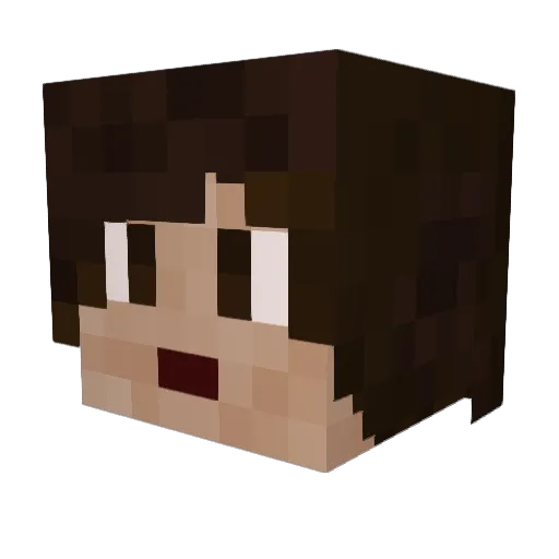MinecraftErik95 Minecraft avatar head, 3D render