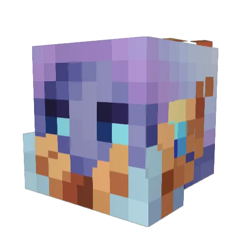 MinecraftFTW911 Minecraft avatar head, 3D render